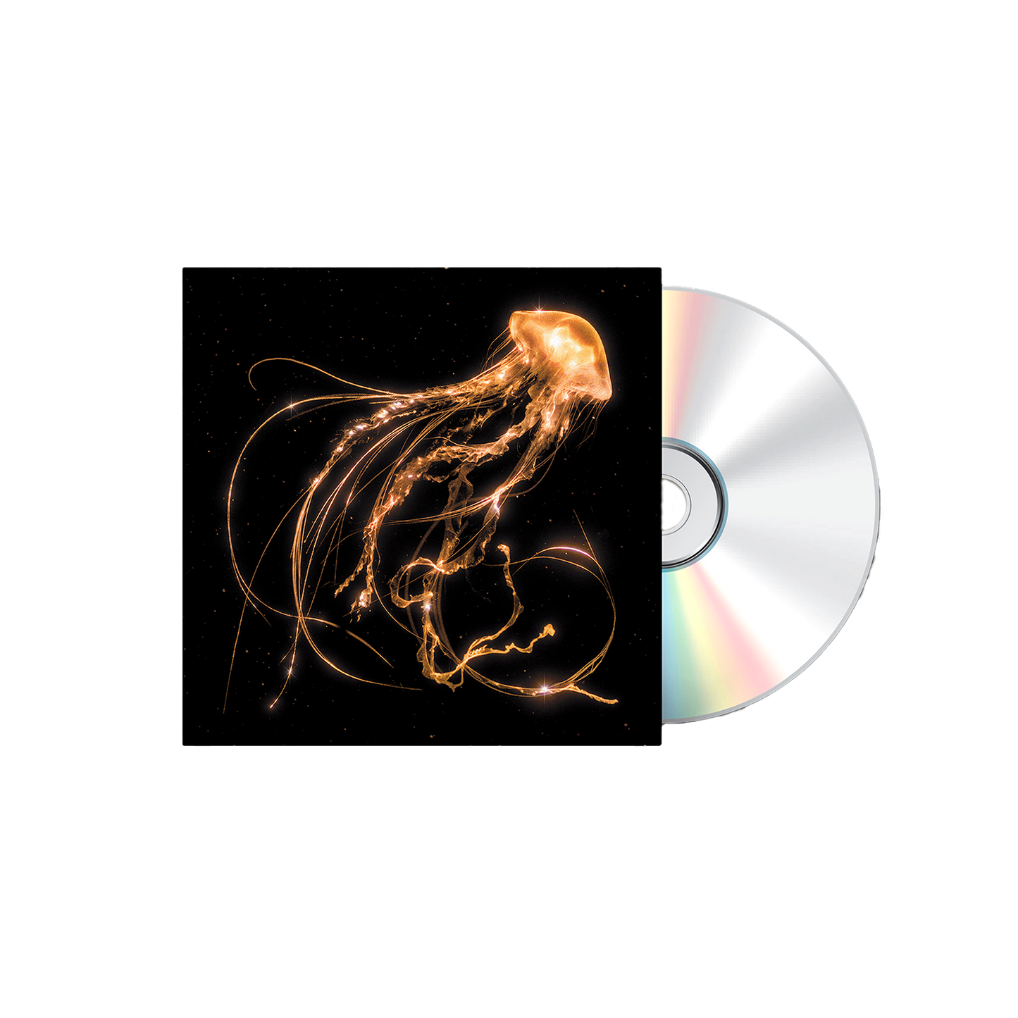 Back To The Water Below CD