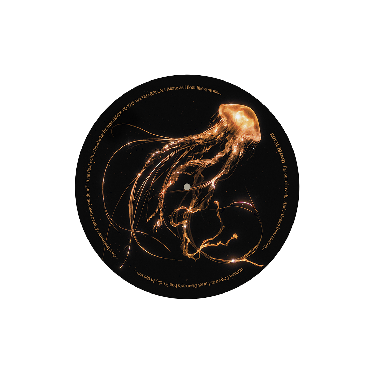 Back To The Water Below Vinyl Slipmat