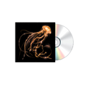 Back To The Water Below CD