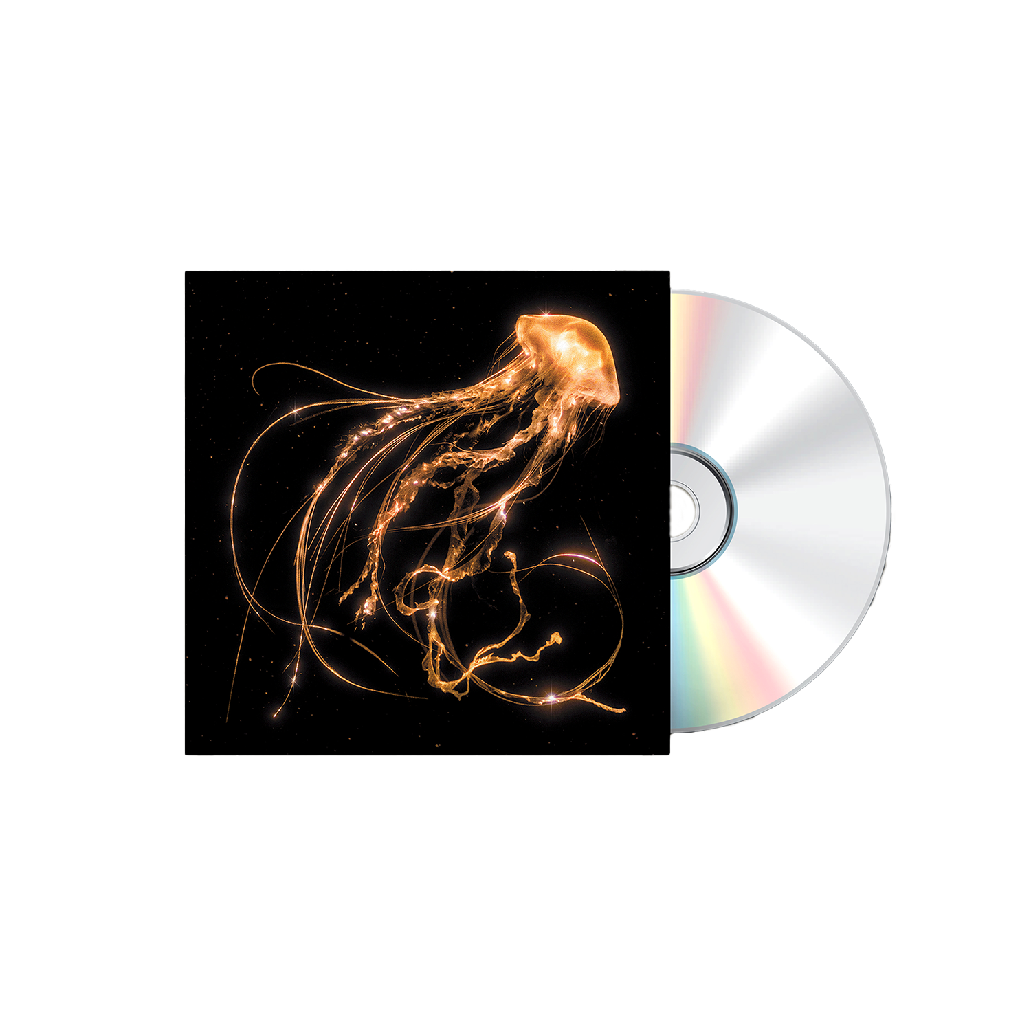 Back To The Water Below CD