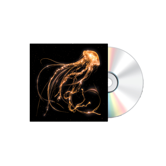Back To The Water Below CD