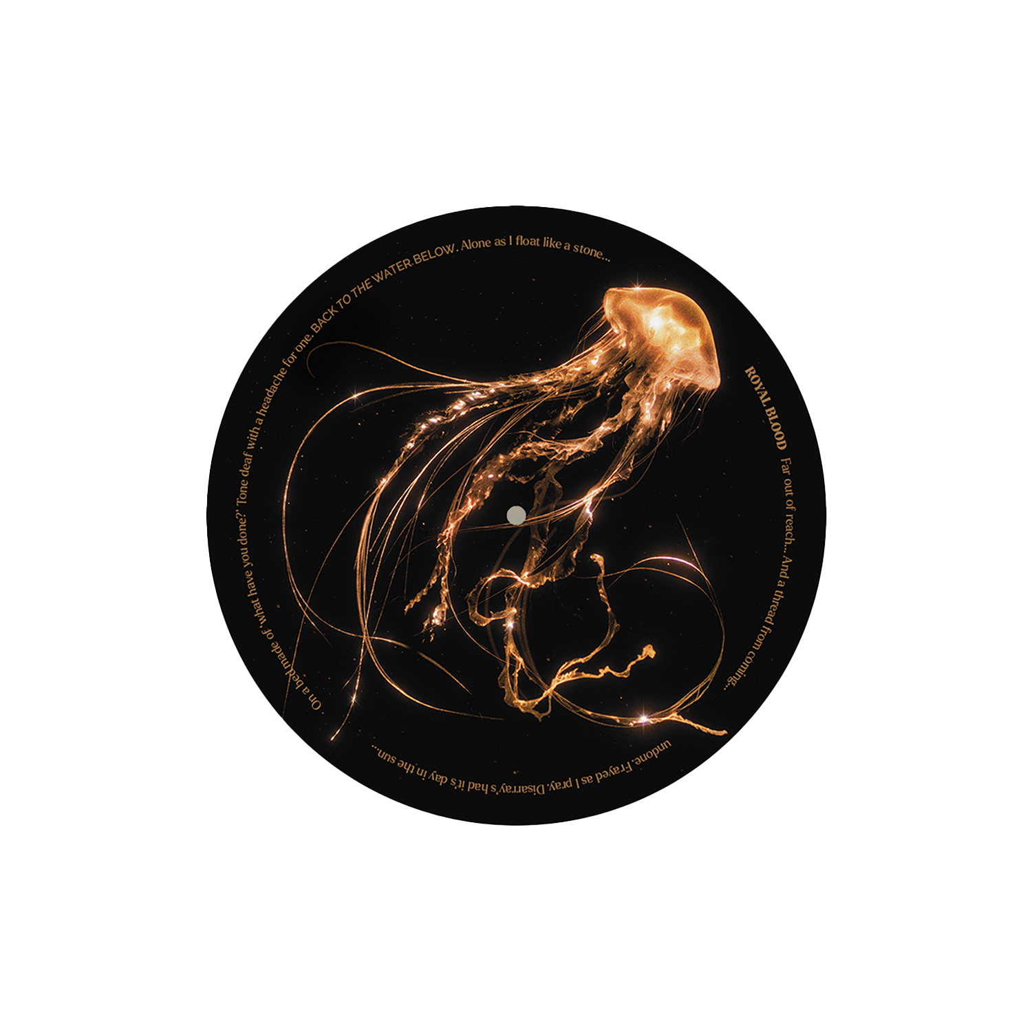 Back To The Water Below Vinyl Slipmat