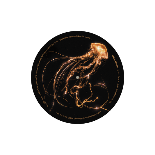 Back To The Water Below Vinyl Slipmat