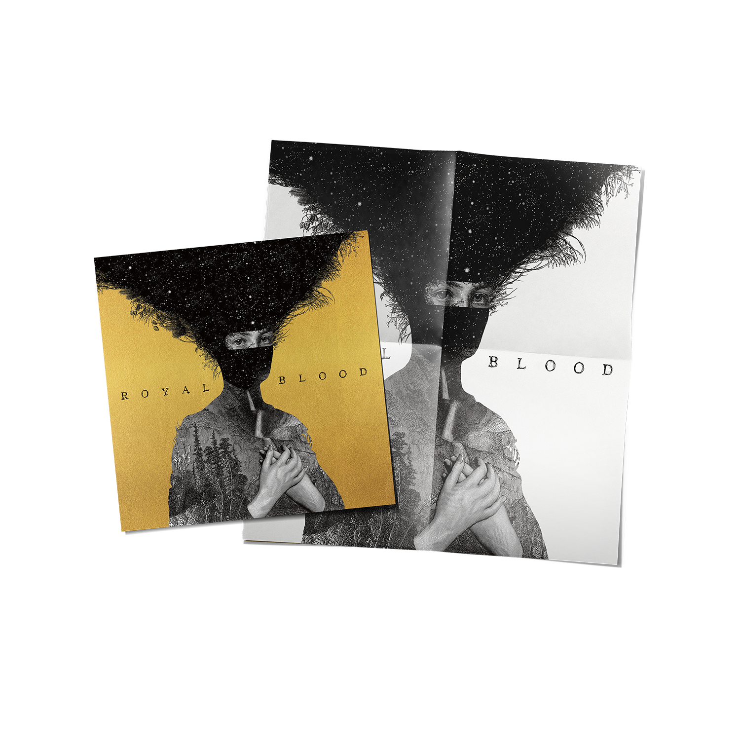 Royal Blood – 10th Anniversary Edition Deluxe LP