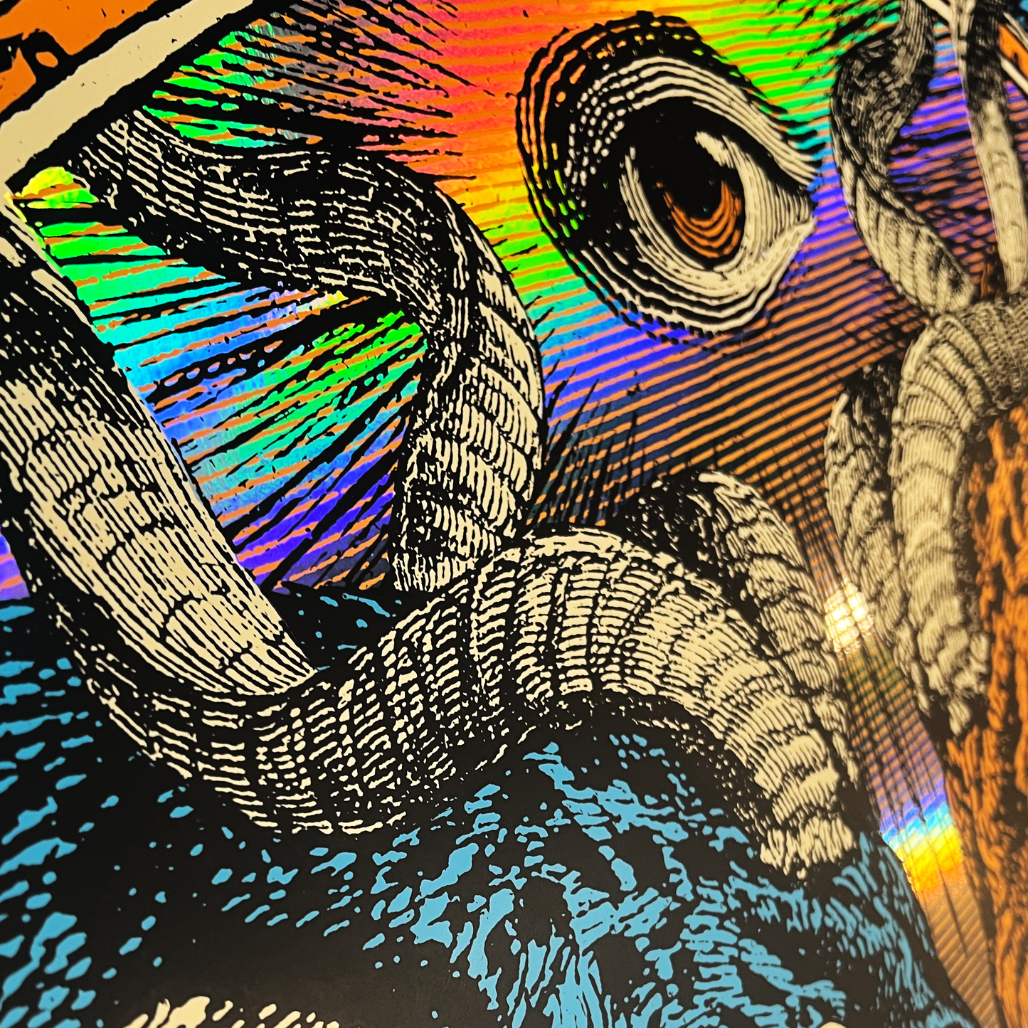 Royal Blood Hellfest Screen Print