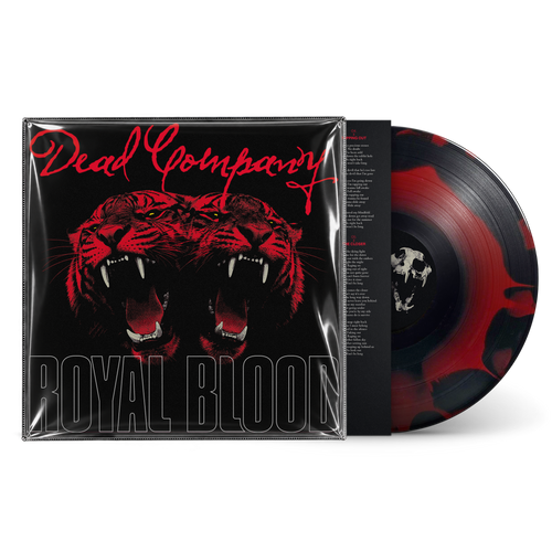 Dead Company | Deluxe Vinyl + CD Bundle