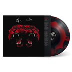 Dead Company | Signed Deluxe Vinyl + CD + Cassette Bundle